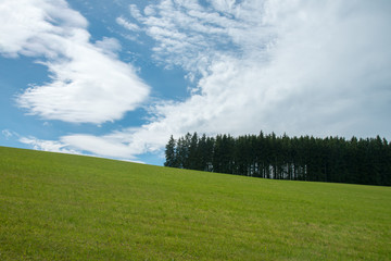Schwarzwald mit Wolken