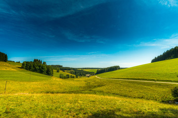 Schwarzwald