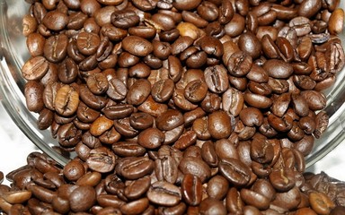 Spilled Coffee Beans