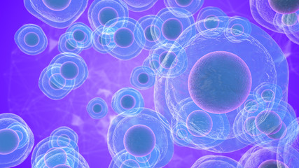 Biological research on stem cells derived from embryos and use in medicine © immimagery