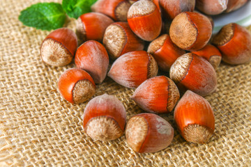 Walnut hazelnuts scattered on sackcloth on a white wooden table.
