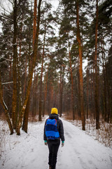 Photo from back of walking woman with backpack over winter forest