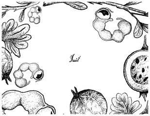Hand Drawn Frame of Manila Tamarind and Gooseberry Fruit