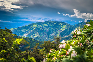 Baños - August 19, 2018: Natural landscape of the region of Baños, Ecuador