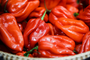 close up red habanero peppers in basket