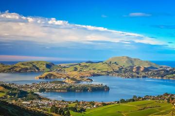 Dunedin town and bay as seen from the hills above - obrazy, fototapety, plakaty
