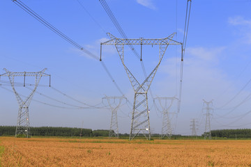 Dense high voltage towers, under the blue sky