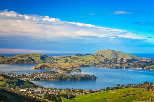 Dunedin town and bay as seen from the hills above