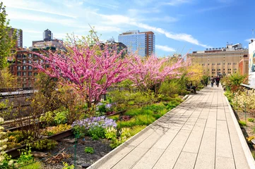 Foto op Plexiglas Spring at the High Line in New York City © alon
