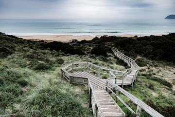 Boardwalks of The Neck, Bruny Island, Tasmania