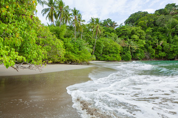 Sand beach and trees at Manuel Antonio Costa Rica