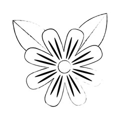 beautiful flower cultivated icon vector illustration design