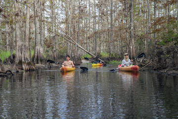 Obraz premium Kayaking on Fish Eating Creek, Florida