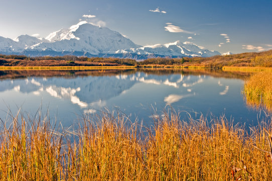 McKinley Reflections