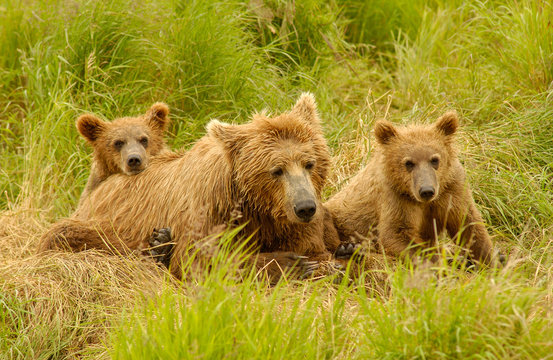 Mama's Precious Children