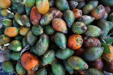 The areca nut is the seed of the areca palm (Areca catechu), which grows in much of the tropical countries. It is commonly referred to as betel nut, as it is often chewed wrapped in betel leaves .