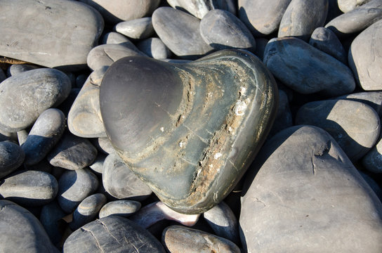 Heart-shaped sea stone on rock beach,Koh hin ngam , Lipe island, Thailand