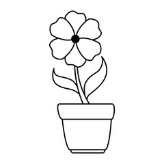 beautiful flower in pot vector illustration design