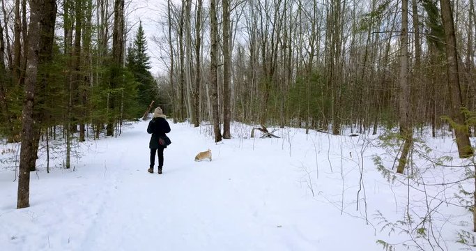 Static drone shot of a young woman walking with her dog in a snowy forest.  4K.