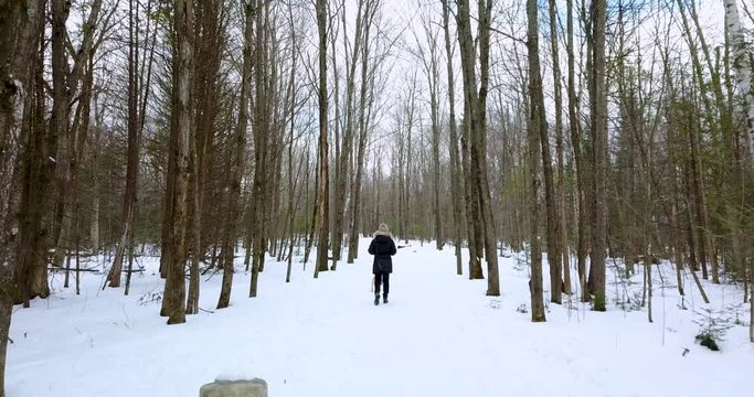 Following drone shot of a young woman walking with her dog in a snowy forest.  4K.