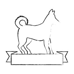dog silhouette with ribbon vector illustration design