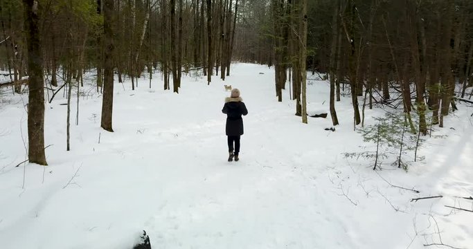 Following drone shot of a young woman walking with her dog in a snowy forest.  4K.