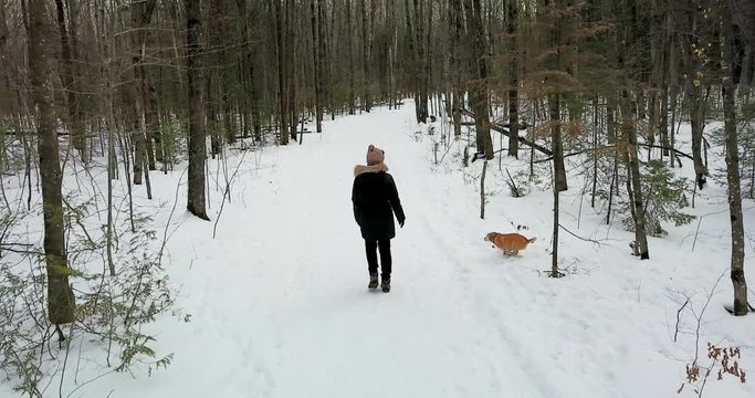 Following drone shot of a young woman walking with her dog in a snowy forest.  4K.
