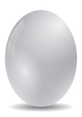 Big white egg