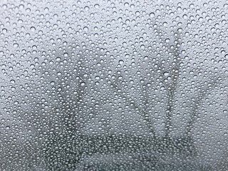 Fototapeta premium Winter Droplets