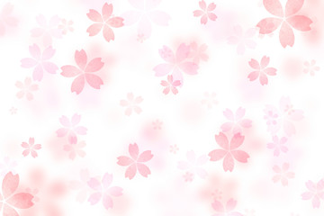 桜 花 春 白背景