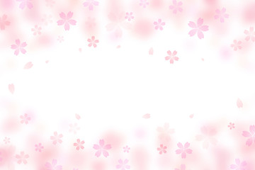 桜 花 春 白背景