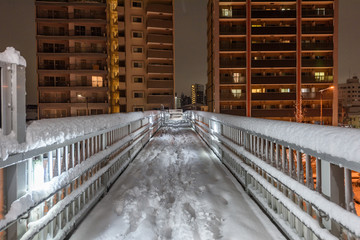 雪の積もった歩道橋