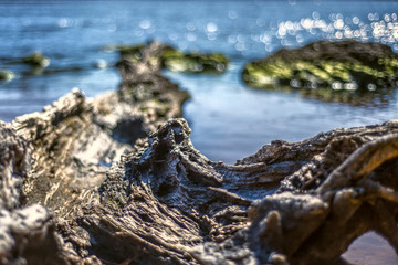 Eroded Coast