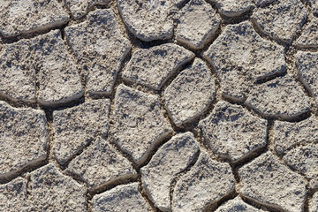 Cracked earth soil texture background with light color