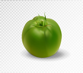 Green realistic isolated tomato. 3d tomato