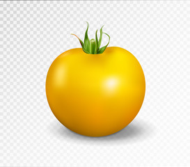 Yellow tomato. Realistic vector illustration