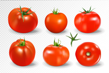 Tomato set. Yellow tomato. Photo-realistic vector tomatoes on transparent background.