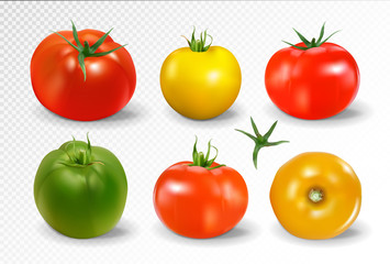 Realistic vector of 6 different colors of tomatoes on transparent background