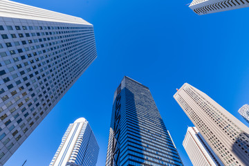 Obraz na płótnie Canvas 西新宿の高層ビル群