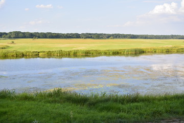 Fototapeta premium Yellow lake