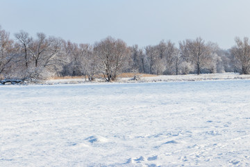 Winter rural landscape with snowy meadow and trees covered with snow