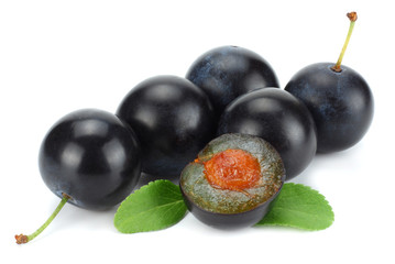 blackthorn berries with green leaf isolated on white background