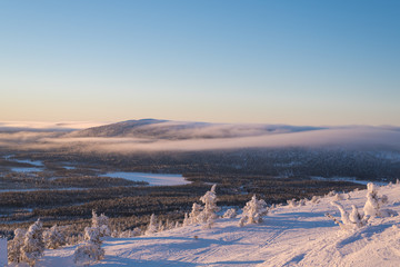 Colorful view up from the mountains in Lapland Levi
