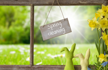 Window, Green Meadow, Spring Cleaning