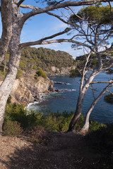 sentier littoral de la presqu'île de giens, hyères, var