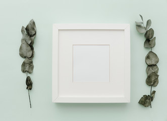 Mockup white frame. Neutral Minimalist Flat Lay Scene with Eucalyptus. Blogger Pastel Background