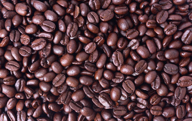close up arabica coffee beans for background.