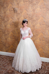 Portrait of beautiful bride in wedding dress