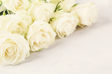 White roses on light grey background with free space for text. Selective focus. Retro toning 