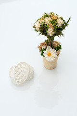 Heart shaped box on a white background near pot